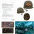 Original U.S. M1 Helmet Used in Saving Private Ryan – 2nd Ranger Battalion – With Copy of Notarized Letter of Authenticity