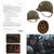 Original U.S. M1 Helmet Used in Saving Private Ryan by Guard with Name Tag – 29th Infantry Division – With Copy of Notarized Letter of Authenticity