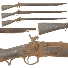 Original British East India Company Percussion Musket in .75 Caliber - Circa 1840-1855 - Untouched Condition