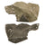 Original German WWII Fragment of Aircraft Aluminum from Fighter Plane Captured by American 3rd Army Ambulance Driver Chet Cieslinski Original Items