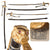 Original German WWII Field Marshal Series Scharnhorst Pattern Lion Head Army Officer Sword by Carl Eickhorn with Scabbard and Troddel Knot Original Items