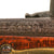 Original Danish - Norwegian Model 1774 Flintlock Infantry Long Musket with Iron Ramrod - Unaltered - Circa 1785 Original Items