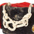 Original Imperial German WWI Prussian Hussars Regiment Officer Light Cavalry Bearskin Busby in Original Storage Box - Size 56 1/2