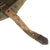 Original Austro-Hungarian WWI M17 Helmet with Original Canvas Cover in Size 68 as Featured on Cover of “At Arms Length: Trench Clubs and Maces” by David F. Machnicki Original Items