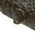 Original 1780 Battle of Charleston South Carolina Excavated Small Ship's Iron Falconet Swivel Cannon Original Items