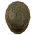 Original German WWII M40 Refurbished 5th SS Panzer Division Fall Camouflage Helmet - Stamped EF66 Original Items