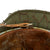 Original German WWII M40 Refurbished 12th SS Panzer HJ at Caan & Falaise Chicken Wire Camouflage Helmet - Stamped EF64 Original Items
