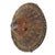 Original Ethiopian 19th Century Tribal Ras Shield of Hide & Silver with Old Museum Tag - Original Hard Handgrip Original Items