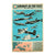 Original British WWII Aircraft of the Royal Air Force RAF Recognition Poster with Map & Key - 20 x 30” Original Items