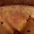 Original WWII Italian M33 Helmet with Bersaglieri Stencil & Shield - Full Liner Original Items