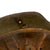 Original German WWII Named M42 Textured Paint Helmet with USGI Added Insignia and 1940 Dated 57cm Liner - stamped NS64 Original Items