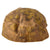 Original German WWII Field-Made Cap Made from Waffen SS Eichenlaubmuster Oak Pattern Camouflage Original Items