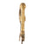 Original German WWII Heer Army Officer's Lion Head Sword by Arthur Evert of Solingen with Steel Scabbard Original Items