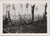 Original U.S. WWII Japanese Flag, Forage Cap, & Photograph Bringback Grouping with Macabre Photographs - Rising Sun & Meatball Flags