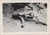 Original U.S. WWII Japanese Flag, Forage Cap, & Photograph Bringback Grouping with Macabre Photographs - Rising Sun & Meatball Flags