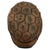 Original German WWII Refurbished M40 Deutsches Afrikakorp DAK Tunisia 1943 Chicken Wire Camouflage Helmet - Stamped Q66