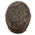 Original German WWII M40 Refurbished WWI Veteran Panel Style Camouflage Chicken Wire Helmet - Stamped EF64