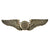 Original U.S. WWII US Army Air Forces Sterling Observer Wings by Lloyd Garfield Balfour Original Items
