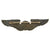 Original U.S. WWII US Army Air Forces Sterling Observer Wings by Lloyd Garfield Balfour Original Items