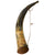Original U.S. Revolutionary War Large Gunner’s Powder Horn with Plug & Original Suspension - Inscribed Original Items