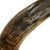 Original U.S. Revolutionary War Large Gunner’s Powder Horn with Plug & Original Suspension - Inscribed Original Items