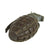Original U.S. WWII Inert MkII Pineapple Grenade with M10A3 Fuze by American Armament Corporation Original Items