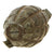 Original U.S. Early WWII Inert MkII Pineapple Fragmentation Grenade with Early Body & M10A3 Fuze Original Items