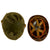 Original U.S. WWII 1945 M1 McCord Rear Seam Swivel Bale Helmet with M44 Net and Westinghouse Liner Original Items