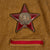 Original Soviet Russian WWII M-1943 Kitel Cavalry Captain Uniform Tunic With 1944 Order of the Red Star Original Items