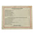 Original U.S. WWII Soldier’s Guidebooks to German & Japanese Soldiers - The Infantry Journal Original Items