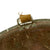 Original U.S. WWII Captain’s Bars Painted 1944 McCord Front Seam Swivel Bale M1 Helmet with Rare Inland Liner - Unknown Regiment Marking On Reverse Original Items
