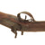 Original British 16 Bore Double Barrel Percussion Shotgun by Rippon & Burton in Grade 2 "As Found" Condition - c. 1840 Original Items