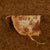 Original U.S. WWI Motor Transport Corps Named Uniform Group with Museum Name Tag Card - Sergeant John Milton Johnson Original Items