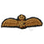 Original British WWI Royal Flying Corps Pilots’ Wings and “RFC” Cap Badge - (2) Items Original Items