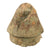 Original WWI French Battlefield Excavated Relic Collection - Helmet, Canteen, Barbed Wire, Shells & More! Original Items