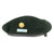 Original U.S. Vietnam War Era Major Leonard Phillips OG-106 Cap with 19th Special Forces Group Airborne Green Beret Original Items