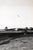 Original U.S. WWII Unpublished Photos of Downed Japanese & American Aircraft - 29 in Total Original Items