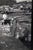 Original U.S. WWII Unpublished Photos of Downed Japanese & American Aircraft - 29 in Total Original Items