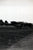Original U.S. WWII Unpublished Photos of Downed Japanese & American Aircraft - 29 in Total Original Items