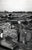 Original U.S. WWII Unpublished Photos of Downed Japanese & American Aircraft - 29 in Total Original Items