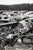 Original U.S. WWII Unpublished Photos of Downed Japanese & American Aircraft - 29 in Total Original Items