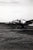 Original U.S. WWII Unpublished Photos of Downed Japanese & American Aircraft - 29 in Total Original Items