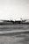 Original U.S. WWII Unpublished Photos of Downed Japanese & American Aircraft - 29 in Total Original Items