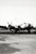 Original U.S. WWII Unpublished Photos of Downed Japanese & American Aircraft - 29 in Total Original Items