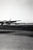 Original U.S. WWII Unpublished Photos of Downed Japanese & American Aircraft - 29 in Total Original Items