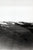 Original U.S. WWII Unpublished Photos of Downed Japanese & American Aircraft - 29 in Total Original Items