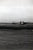 Original U.S. WWII Unpublished Photos of Downed Japanese & American Aircraft - 29 in Total Original Items