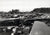 Original U.S. WWII Unpublished Photos of Downed Japanese & American Aircraft - 29 in Total Original Items