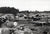 Original U.S. WWII Unpublished Photos of Downed Japanese & American Aircraft - 29 in Total Original Items