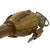 Original U.S. WWII Inert MkII Pineapple Grenade in 1944 dated M1 Rifle Grenade Adapter Original Items
